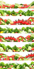 Poster - Fresh vegetables