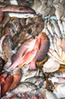 Various types of fish are displayed on the table for sale in the market. The fish is mixed with ice to preserve its freshness.