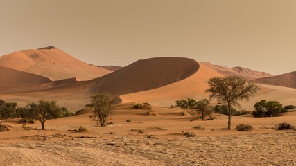 Poster - dunes