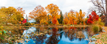 Southern Fall Color Free Stock Photo - Public Domain Pictures
