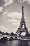 Fototapeta Na drzwi - The Eiffel Tower : a Famous Iron Sculpture, Symbol of Paris