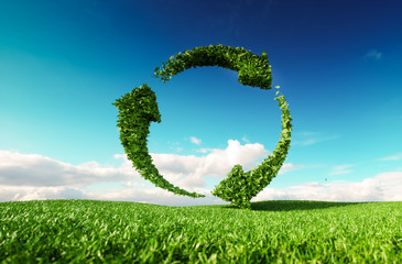 Wall Mural - sustainable development, eco friendly lifestyle concept. 3d rendering of arrow circle icon on fresh 