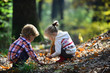 © Volodymyr - Childhood and child friendship. Children pick acorns from oak trees. Brother and sister camping in autumn forest. Little boy and girl friends have fun on fresh air. Kids activity and active rest
