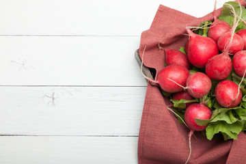 Wall Mural - Red radish bungle close up, cultivated and farming concept. Copy space for text.