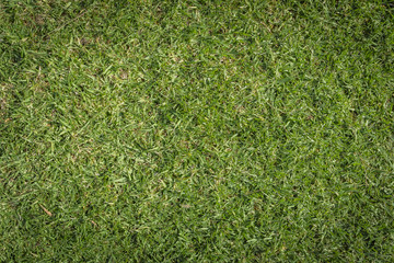 Natural grass