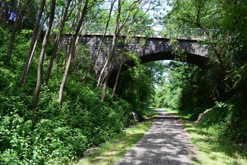 Canvas Print - zugewachsene Brücke über Radweg, eisenbahn