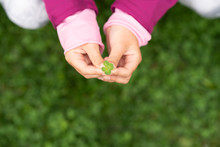 Girl Holding Four-leaf Clover