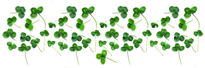Wall Mural - Green clover, the symbol of the holiday St. patrick's day. Pattern of clover leaves isolated on white background, top view, flat lay.