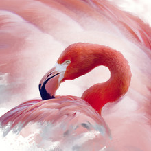 Flamingo Watercolor Painting