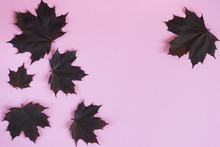 Pink Pastel Mockup For Design With Maple Leaf,background.