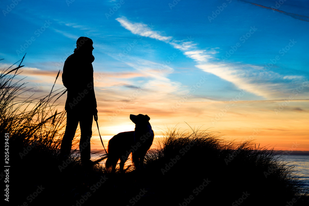 Silhouette Von Einem Mann Und Einen Hund Am Strand Bei Sonnenuntergang Umrahmt Von Grasern Stock Gamesageddon