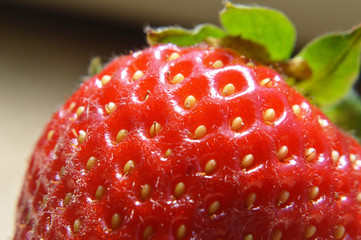 Poster - Close up of a fresh strawberry