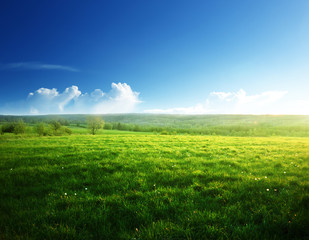 spring sunset and field of grass