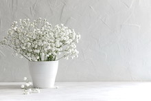 Small White Flowers On A White Background. Soft Home Decor. Gypsophila Flowers. White Flowers In A Vase. Retro Style.