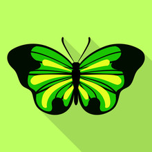 Big Green Butterfly Icon. Flat Illustration Of Big Green Butterfly Vector Icon For Web Design