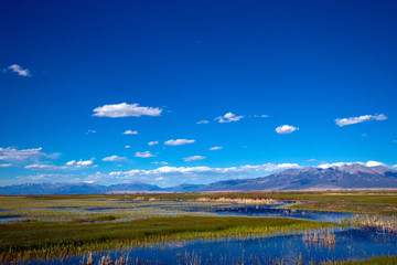 Poster - Wide-angle view of the beautiful marsh in Alamosa National Wildlife Refuge, showing Blanca Mountain, which is part of the Sangre de Cristo range of the Rocky Mountains in southern Colorado