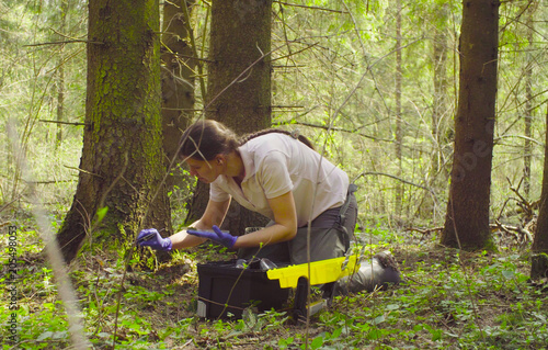 Fotografía Woman scientist ecologist in the forest taking samples of the moss with tweezers