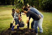 Group Of People Planting A New Tree