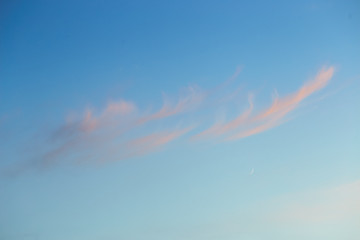 Wall Mural - quaint clouds in the sky before sunset.