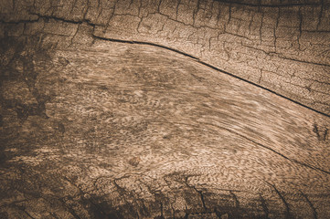 Canvas Print - Old wood texture , dirty surface wooden background , brown wood dark style