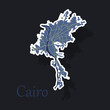 Map of Cairo, city, streets, Egypt, sticker view