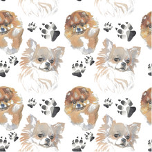 Watercolor Pattern Companion Dog,  Pomeranian  Spitz And Chihuahua