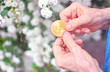 Concept of pension of future. Elderly woman holds a bitcoin coin symbol in wrinkled hands.