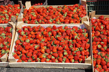 Strawberry For Sale In Boxes