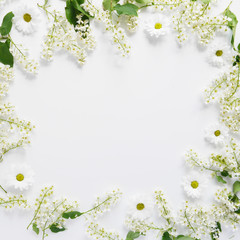 Wall Mural - cherry flowers on a white background, top view, flat layout. concept spring, summer, mother's day ho