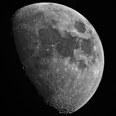Wall Mural - closeup of growing moon in the dark background, with craters details, taken with large newtonian tel