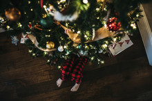 Low Section Of Boy Sitting By Christmas Tree On Hardwood Floor At Home