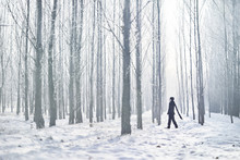 Full Length Of Young Man Wearing Black Warm Clothing While Walking Amidst Trees At Forest During Foggy Weather