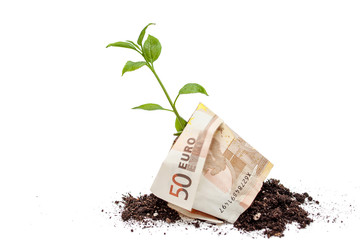 Money growth concept isolated on a white background