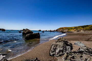 Wall Mural - Northern Pacific Coast