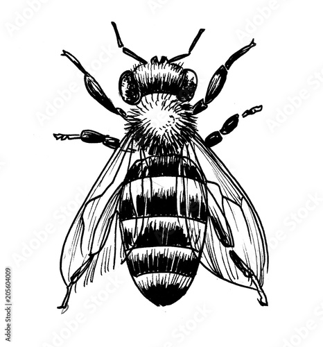 Naklejka na szybę Czarno-biała ilustracja pszczoły