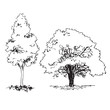 Set of hand drawn architect trees, sketch tree silhouette