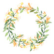 Wreath of watercolor yellow Lonicera flowers on white background. Flowers for wedding cards.