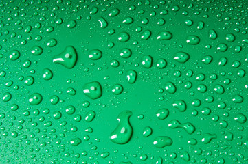 Water Drops on a Green Background