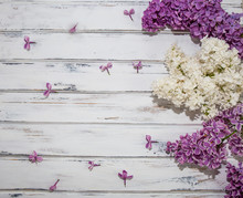 Flowers Of Lilac.White Old Background With Space For Text.Purple Color.