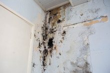 Water Damage Causing Mold Growth On The Interior Walls Of A Property