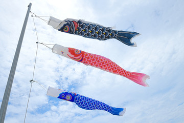 Koi fish flag