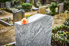 Grief At Cemetery / Red Carnation On Gravestone / Tombstone