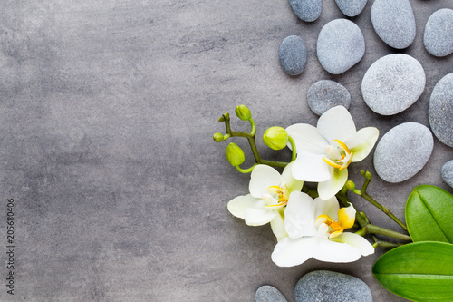 Fototapeta Beauty orchid on a gray background. Spa scene.