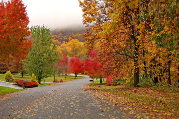  fall colors