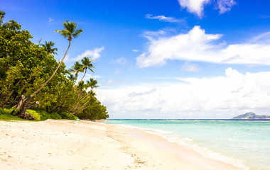 Wall Mural - Idyllic scenery of sandy beach in the Seychelles