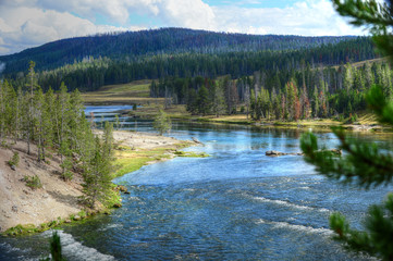  River in Yellowstone National Park, Wy