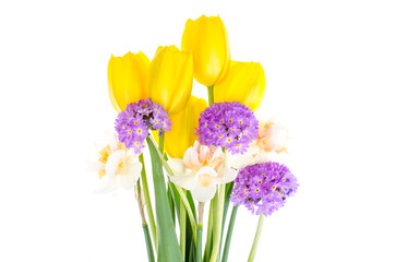 Wall Mural - Bright spring flowers isolated on white background