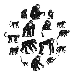 Wall Mural - Monkey types icons set. Simple illustration of 16 monkey types vector icons for web