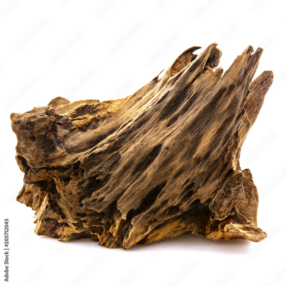 Piece of well worn driftwood on a white background - obrazy, fototapety, plakaty 