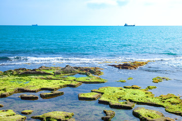 Wall Mural - Livorno and the life with the sea